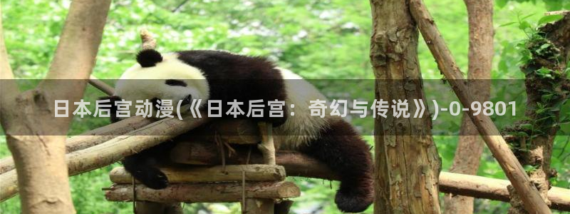 好看的国产动漫：日本后宫动漫(《日本后宫：奇幻与传说》)