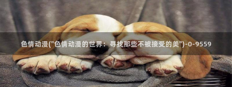 火影动漫